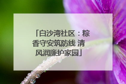 白沙湾社区：粽香守安筑防线 清风润廉护家园
