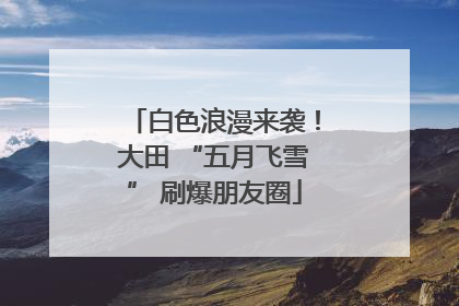 白色浪漫来袭！大田 “五月飞雪” 刷爆朋友圈