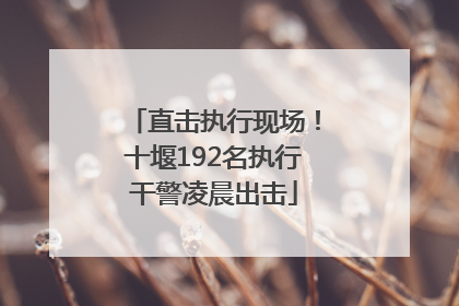 直击执行现场！十堰192名执行干警凌晨出击