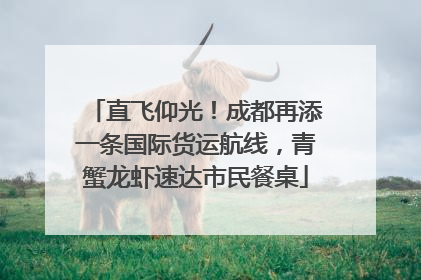 直飞仰光！成都再添一条国际货运航线，青蟹龙虾速达市民餐桌
