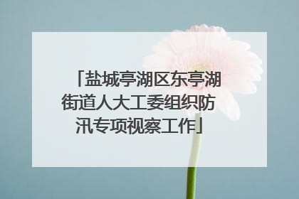 盐城亭湖区东亭湖街道人大工委组织防汛专项视察工作