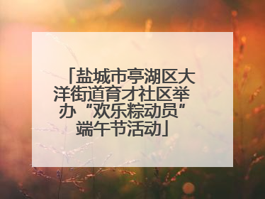 盐城市亭湖区大洋街道育才社区举办“欢乐粽动员”端午节活动