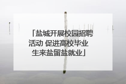 盐城开展校园招聘活动 促进高校毕业生来盐留盐就业