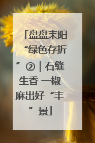 盘盘耒阳“绿色存折”②｜石缝生香 一椒麻出好“丰”景