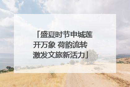 盛夏时节申城莲开万象 荷韵流转激发文旅新活力
