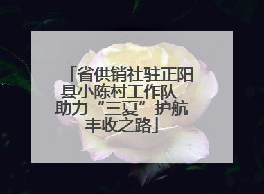 省供销社驻正阳县小陈村工作队 助力“三夏”护航丰收之路