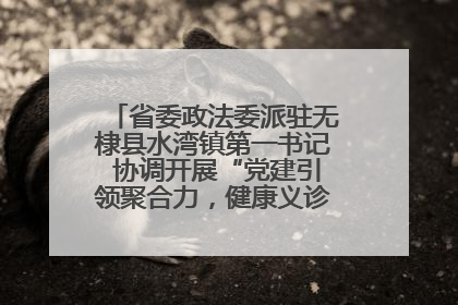 省委政法委派驻无棣县水湾镇第一书记 协调开展“党建引领聚合力，健康义诊惠乡亲”义诊活动