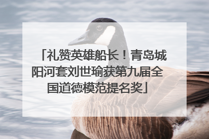 礼赞英雄船长！青岛城阳河套刘世瑜获第九届全国道德模范提名奖
