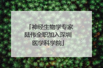 神经生物学专家陆伟全职加入深圳医学科学院