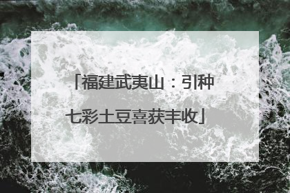 福建武夷山：引种七彩土豆喜获丰收