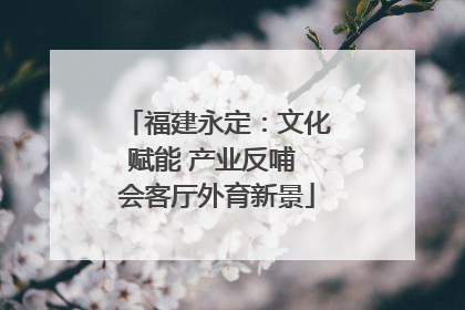 福建永定：文化赋能 产业反哺 会客厅外育新景