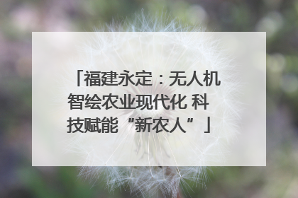 福建永定：无人机智绘农业现代化 科技赋能“新农人”