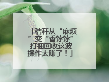 秸秆从“麻烦”变“香饽饽” 打捆回收这波操作太赚了！