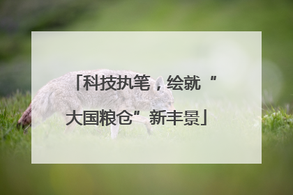 科技执笔，绘就“大国粮仓”新丰景