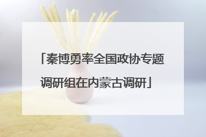 秦博勇率全国政协专题调研组在内蒙古调研