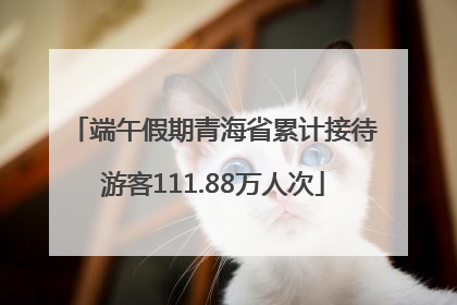 端午假期青海省累计接待游客111.88万人次