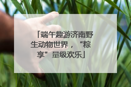 端午趣游济南野生动物世界，“粽享”量级欢乐