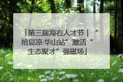 第三届海右人才节｜“拾夏凉·华山站”激活“生态聚才”强磁场