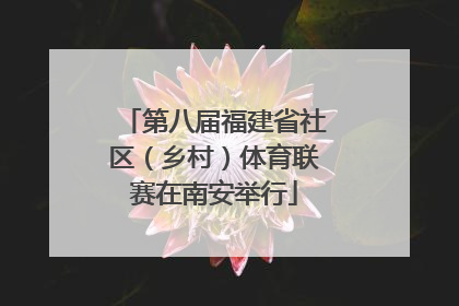 第八届福建省社区（乡村）体育联赛在南安举行