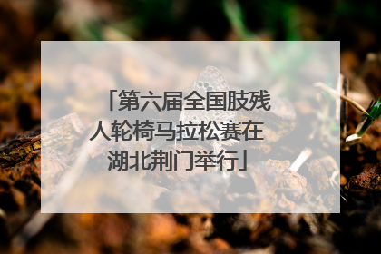 第六届全国肢残人轮椅马拉松赛在湖北荆门举行