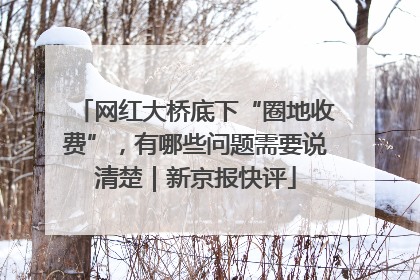 网红大桥底下“圈地收费”，有哪些问题需要说清楚｜新京报快评