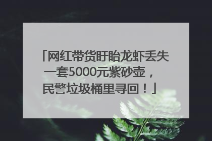 网红带货盱眙龙虾丢失一套5000元紫砂壶，民警垃圾桶里寻回！