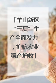 羊山新区“三夏”生产全面发力，护航农业稳产增收