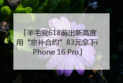 羊毛党618薅出新高度 用“京补合约”83元拿下iPhone 16 Pro