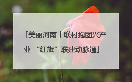 美丽河南丨联村抱团兴产业 “红旗”联建动脉通