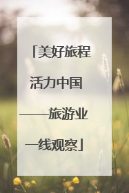 美好旅程 活力中国——旅游业一线观察