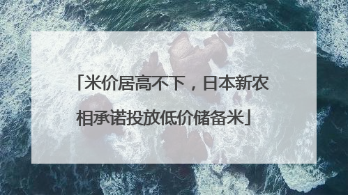 米价居高不下，日本新农相承诺投放低价储备米
