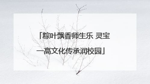 粽叶飘香师生乐 灵宝一高文化传承润校园