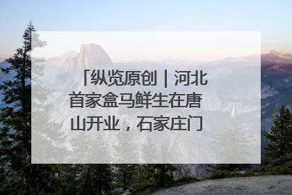 纵览原创｜河北首家盒马鲜生在唐山开业，石家庄门店预计8月开业