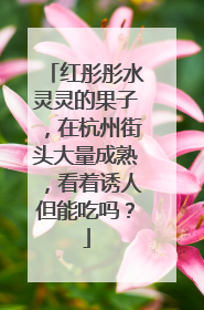 红彤彤水灵灵的果子，在杭州街头大量成熟，看着诱人但能吃吗？