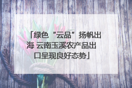绿色“云品”扬帆出海 云南玉溪农产品出口呈现良好态势