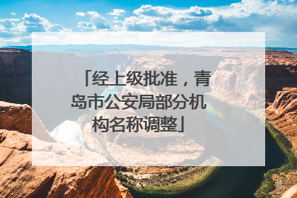 经上级批准，青岛市公安局部分机构名称调整