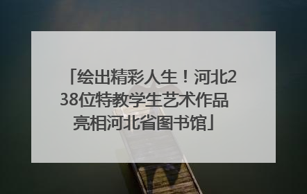 绘出精彩人生！河北238位特教学生艺术作品亮相河北省图书馆