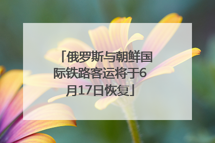 俄罗斯与朝鲜国际铁路客运将于6月17日恢复