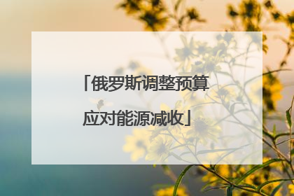 俄罗斯调整预算应对能源减收