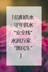 信阳供水：守牢供水“安全线” 水润万家“惠民生”