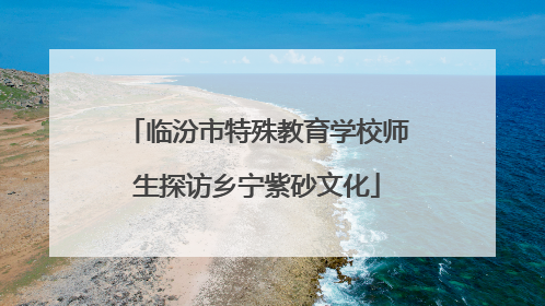 临汾市特殊教育学校师生探访乡宁紫砂文化