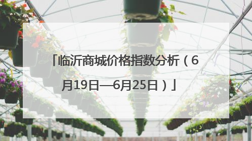 临沂商城价格指数分析（6月19日—6月25日）