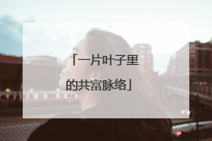 一片叶子里的共富脉络