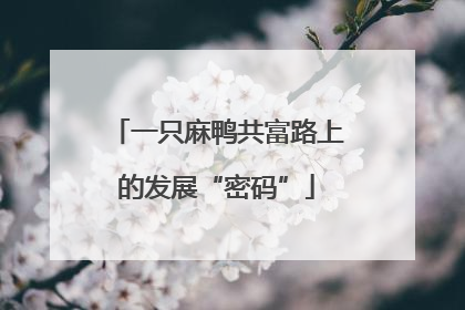 一只麻鸭共富路上的发展“密码”