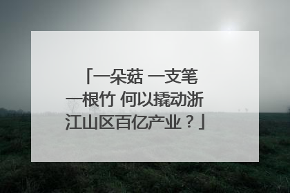 一朵菇 一支笔 一根竹 何以撬动浙江山区百亿产业？