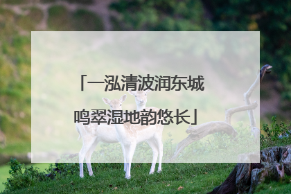 一泓清波润东城 鸣翠湿地韵悠长