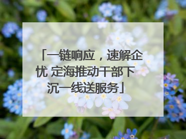 一链响应，速解企忧 定海推动干部下沉一线送服务