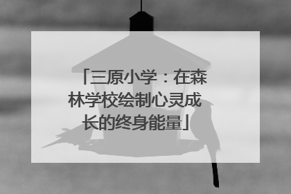 三原小学：在森林学校绘制心灵成长的终身能量