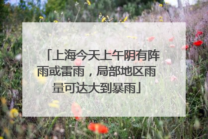 上海今天上午阴有阵雨或雷雨，局部地区雨量可达大到暴雨