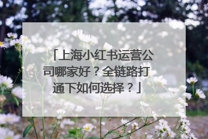 上海小红书运营公司哪家好？全链路打通下如何选择？